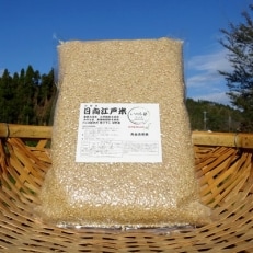 完全自然米(玄米) 2.7kg　令和5年産