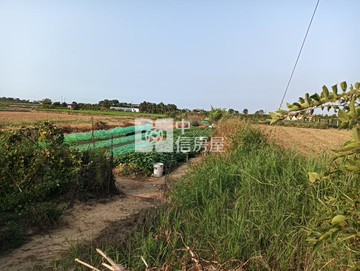 新豐青埔農地｜新竹縣新豐鄉青埔子段