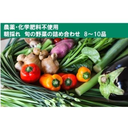 ふるさと納税 土佐の太陽をいっぱいに浴びた旬の野菜セット「小」 高知県高知市