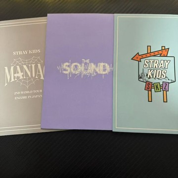 ⭐韓國代購正版⭐【國內】StrayKids迷日周生寫隨機卡包官方正品禮品