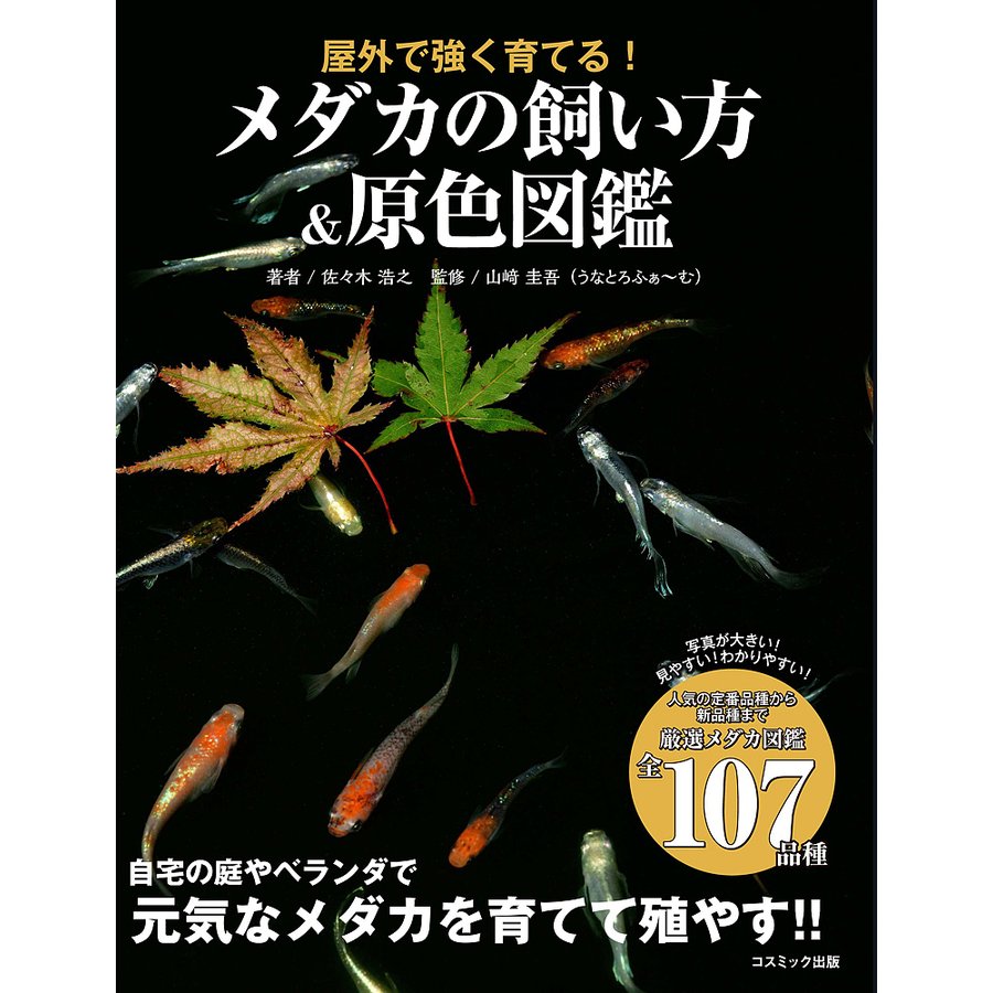 屋外で強く育てる メダカの飼い方 原色図鑑