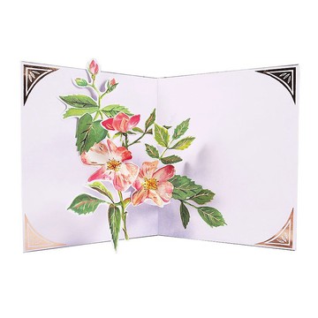 花種籽袋【Up With Paper Luxe-立體卡片 多用途】