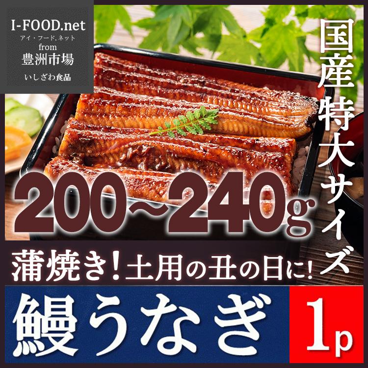 鰻 特大サイズ 国産 蒲焼き うなぎ ウナギ 丑の日 豊洲市場よりお届けいたします ギフト