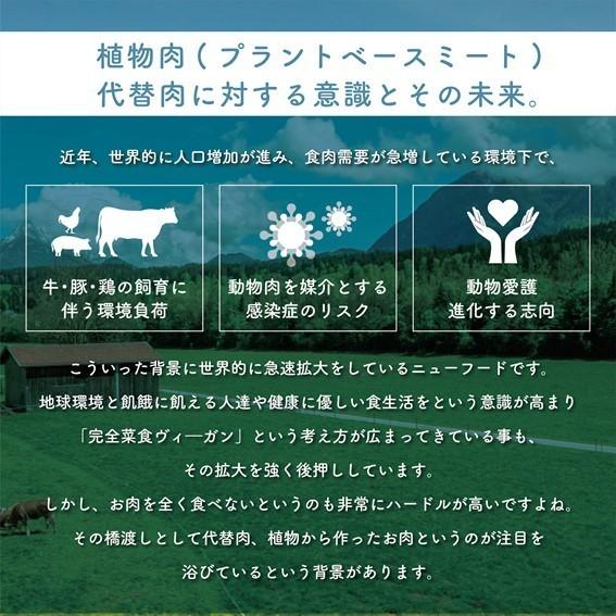 植物肉 代替肉 エンドウミート ピープロテイン 80g 6袋 ギフト 贈答箱入り