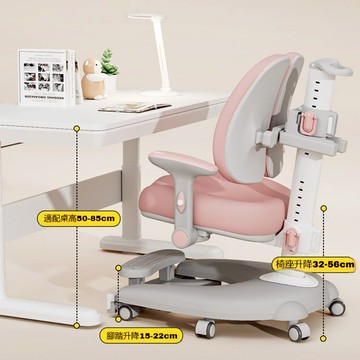 成長學習椅 學生電腦椅 課桌椅 坐姿追背椅 成長椅 學習椅 學生椅 升降椅 人體工學椅 書桌椅 學生椅 學前椅 追背椅