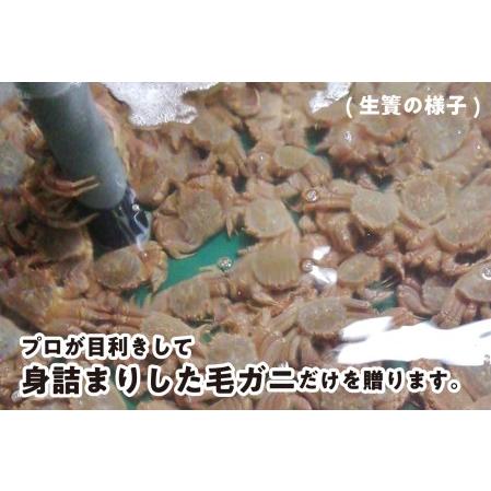 ふるさと納税 ＜2024年1月から順次発送＞ 北海道産 かに 浜ゆで 毛ガニ 2尾 計 600g 以上 ＜ 予約商品 ＞ 毛ガニ 毛がに かに 北海道 毛ガニ.. 北海道新ひだか町