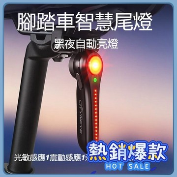 自行車尾燈 智能感應剎車燈 夜騎剎車燈 充電公路山地車防水騎行警示燈裝備