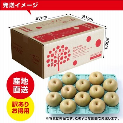 徳島県産　幸水梨　10キロ　梨　まとめ売り　業務用食材　加工用食材　業務用食品 146徳島県産 梨 幸水梨 小玉 約10キロ 数量限定 - メルカリ