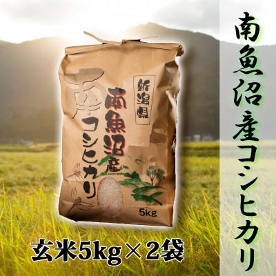 ふるさと納税 南魚沼市 南魚沼産こしひかり5kg(玄米)×2袋