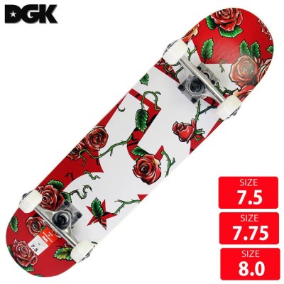 ディージーケー dgk スケートボードの検索結果 | LINEショッピング