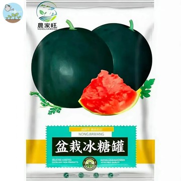 【原廠包裝】冰糖蜜罐西瓜種子（Potted Rock Candy Honey Jar）25粒裝陽台盆栽可種 皮薄超甜多汁