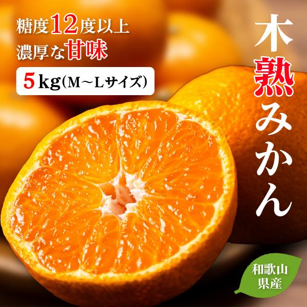 木熟みかん 5kg M〜L 和歌山産 みかん ギフト 冬 プレゼント お歳暮 贈り物 贈答品 送料無料