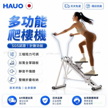 HAUO🏆升級智能款 摺叠爬梯機🏆贈支架 家用爬梯機 暴汗瘦身 室內爬樓機 登山健身機 登山機 爬樓機 踏步機 健身器材