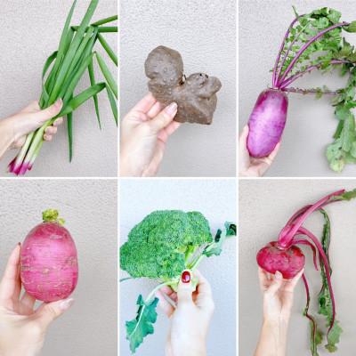 ふるさと納税 福知山市 季節のお野菜BOX 7〜8種類