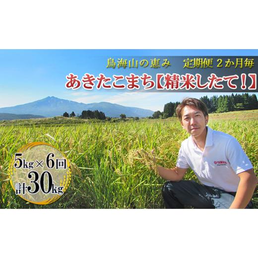 ふるさと納税 秋田県 にかほ市 2ヶ月ごとに5kg×6回 鳥海山の恵み 農家直送！ あきたこまち（隔月）［精米 したて！］