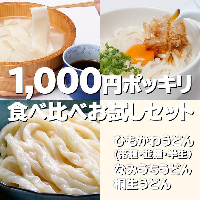 うどん 桐生うどん（130g）2袋 ＋ ひもかわうどん（帯麺）2袋セット ポイント消化 ゆうパケット 送料無料