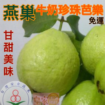 燕巢牛奶帝王芭樂中大果嘗鮮10入【皇家果物】免運