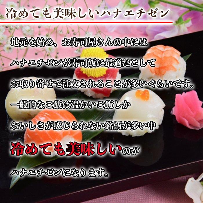 新米 令和4年産 福井県産 ハナエチゼン 5kg×2袋 10kg 米 お米 白米 おこめ 華越前 精米 単一原料米 ブランド米 10キロ 送料無料 国内産 国産