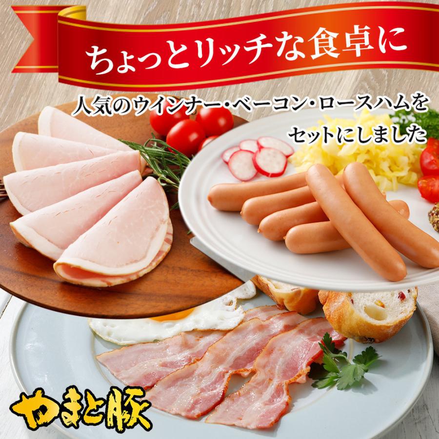 ベーコン ハム ウインナー 3点セット NS-B [冷蔵] お歳暮 御歳暮 2023 肉 食品 ギフト 食べ物 ソーセージ 詰め合わせ お取り寄せグルメ つまみ お肉