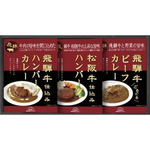 飛騨高山ファクトリー 松阪牛 飛騨牛仕込みハンバーグ ＆ カレー 詰合せ HBK-22