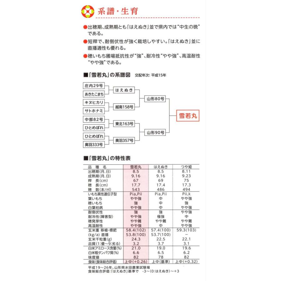 ★新米 2023年山形県産玄米 30kg 一等米 石抜き済