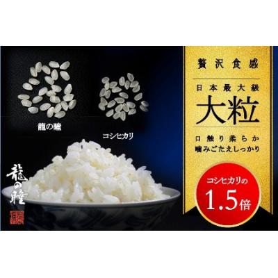 ふるさと納税 下呂市 3kg×2 飛騨産・龍の瞳(いのちの壱)株式会社龍の瞳直送 