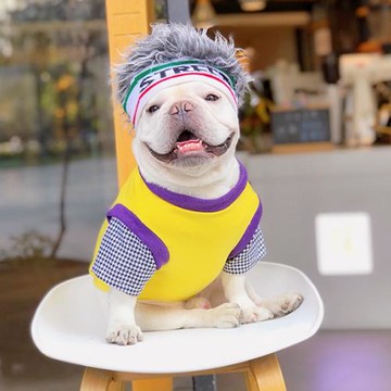 寵物狗狗衣服秋冬衛衣24號球衣四腳衣時尚法斗柯基小型犬2021新款