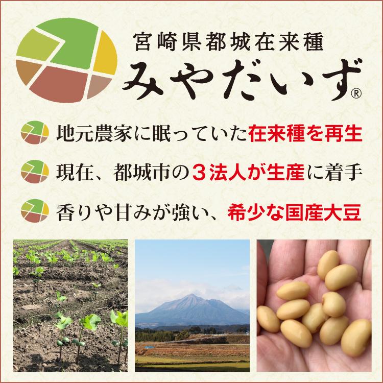 蒸し大豆　みやだいず蒸し大豆500ｇ　宮崎県都城産　みやだいず　国産大豆