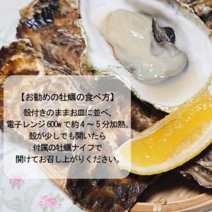 ふるさと納税 サロマ湖産殻付き2年牡蠣4.2kg※牡蠣ナイフ付 カキ かき 4.2キロ 魚介 海鮮 貝 ふるさと納.. 北海道北見市