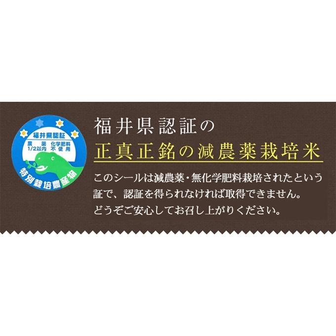 減農薬・無化学肥料栽培 たんちょう餅米 令和5年福井県産 3kg