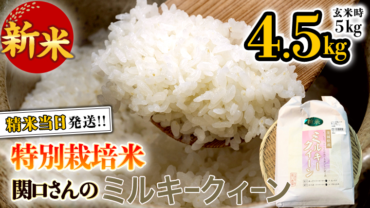 《 特別栽培米 》 令和5年産 精米日出荷 関口さんの「 ミルキークイーン 」 4.5kg × 2袋 玄米時 10kg 新鮮 精米 米 こめ コメ 特別栽培農産物 認定米 新米 [AM094us]