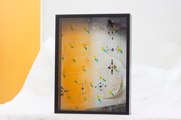 原作繪畫 | 畫廊收藏級精品 | 精挑細選 | 黃昏小花圃