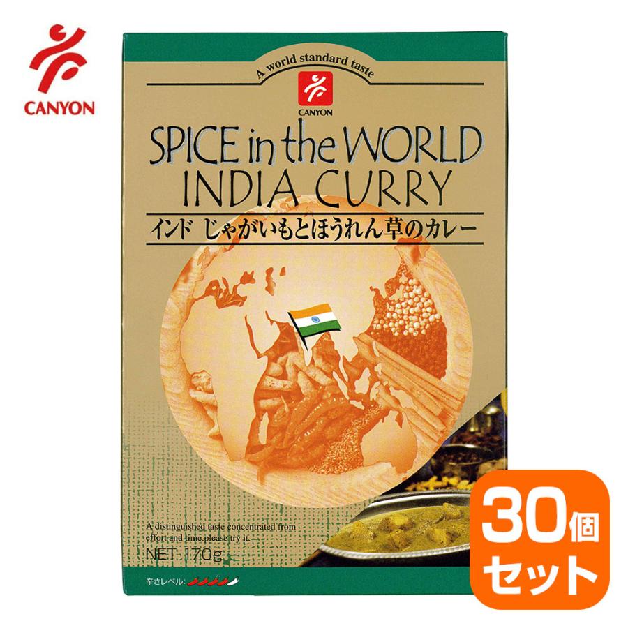 インド じゃがいもとほうれん草のカレー 170g（辛さレベル：４）