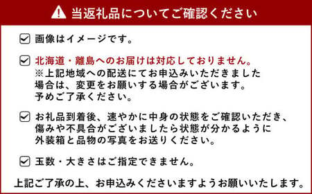  宇城市産 旬の フルーツ 定期便