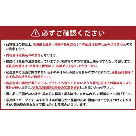 ふるさと納税 ギフト配送 福岡県産あまおう EX 約450g×2パック 〈特別栽培〉※北海道・沖縄・離島配送不可 福岡県岡垣町