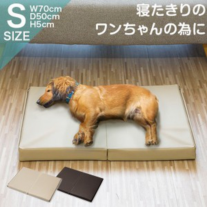 ペット 床ずれ 防止 クッション ペット用 床ずれ防止マットレス Sサイズ 70 X 50 X 5cm 介護マット ケアマット マット ペットベッド 犬 通販 Lineポイント最大1 0 Get Lineショッピング