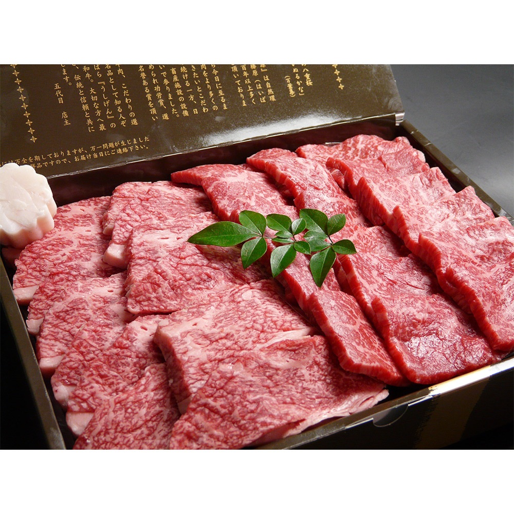 肉料理 うし源 大和榛原牛 焼肉用 ウデ・モモ詰合