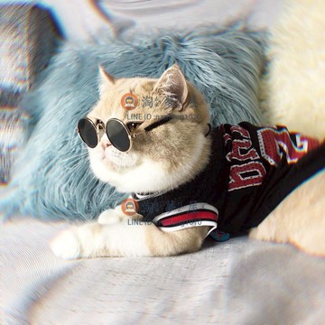 透氣薄款夏裝狗衣服寵物短袖 泰迪比熊博美英短幼犬貓咪背心【淘夢屋】