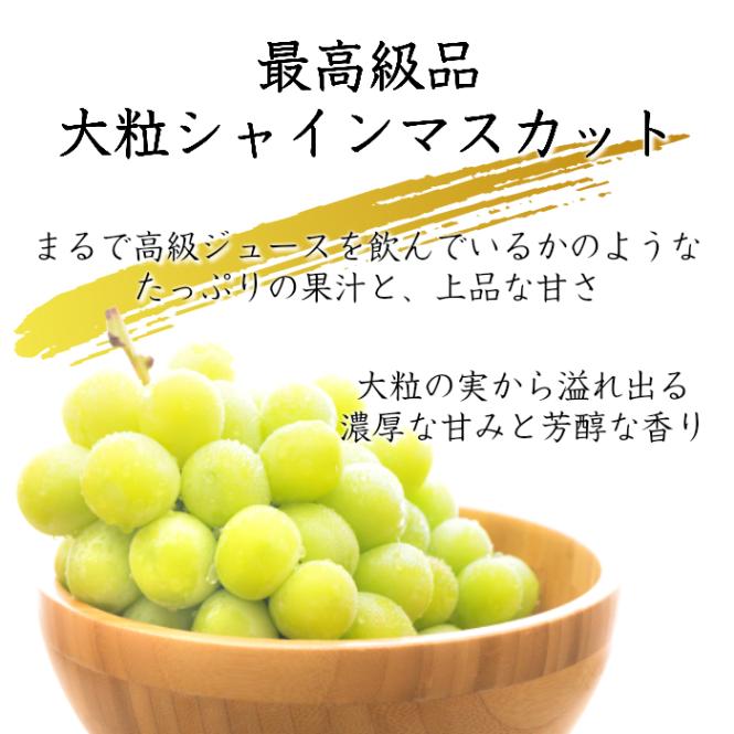 [最短順次発送]  シャインマスカット 大粒 ３kg 正箱 山梨県笛吹産 夏ギフト 夏ギフト お中元 御中元