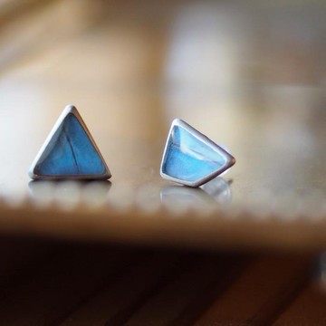 Morpho 蝴蝶耳针黃銅 RP 一對