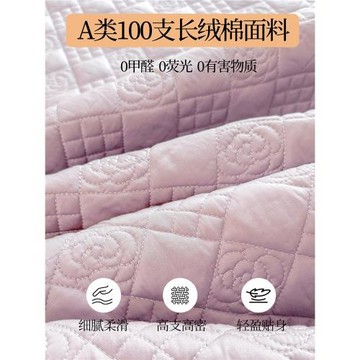 A類高端100支新疆長絨棉全棉夾棉床裙單件刺繡花邊床群罩四季通用