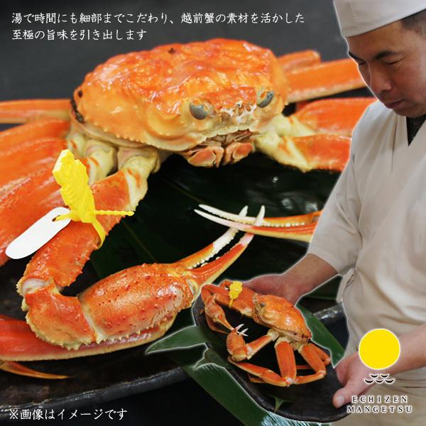 足折れ蟹　訳あり・福井県産越前ガニ（小）　タグ付き 茹で 400g〜500g　小サイズ　カニ　国産　冷蔵（クール便）