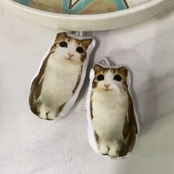 免運🔥meowl貓頭鷹 周邊商品 壓克力吊飾 鑰匙圈 布偶 擺飾 抱枕 鑰匙扣 帶聲音 流行禮物 meowl玩偶貓頭鷹