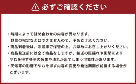 熊本県産 肥後の国 野菜の詰め合わせ セット