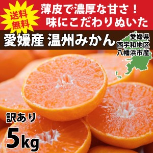 みかん 愛媛 訳あり 5kg 箱買い 八幡浜市 ブランド 産地直送 厳選 人気の品種 旬 甘い 濃厚 ご家庭用 2S～3L サイズ 15～90玉前後入り 01