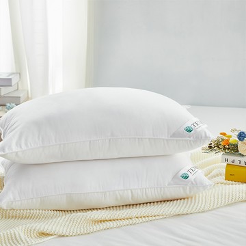 枕頭 / 奧地利舒眠天絲枕 台灣製