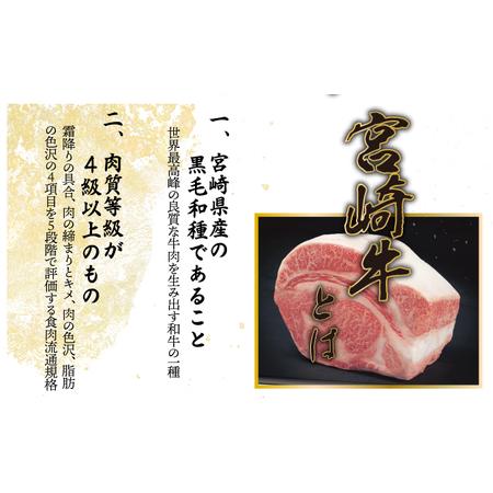 ふるさと納税 KU309 宮崎牛ロースステーキセット 計500g (250ｇ×2) 宮崎県串間市