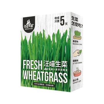 🔥現貨48小時出貨🔥DogCatStar汪喵星球 貓草新鮮栽培盒65g·長超快！5天收成·貓草 貓零食✨Q寶貝寵物✨
