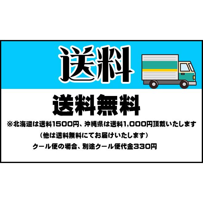 長野県産　松本ハイランドすいか　1玉　5L　約10〜11kg