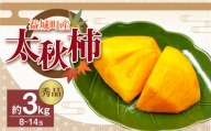  益城産 太秋柿 秀品 約3kg 柿 8～14玉 果物